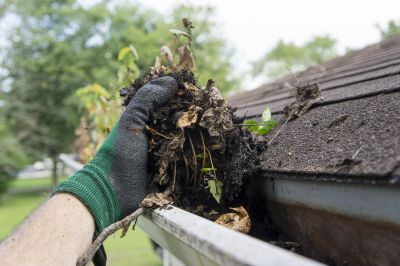 Benefits of Professional Gutter Maintenance